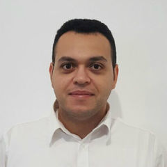 Hamdy Kamal, Project Manager, Geospatial and GIS Systems Consultant