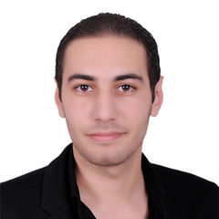 Samer El-kholy, Solid waste and landfill Design engineer