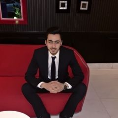 mouhamad issa, Accountant