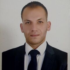 Hussien Abu Hammam, متخصص بالقضايا الجمركية 