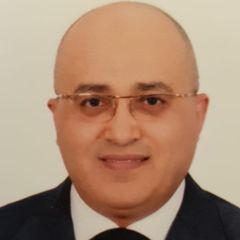 Samy Ahmed Salem Salem, group financial controller