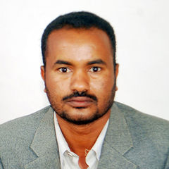 Mohammed Ibrahim Abdalla Ali Ali, Risk Management Advisor