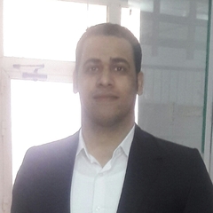 Abdelghafar Mohamed Sayed