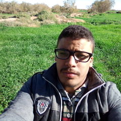 Abdel Madjid Guesmia, امن