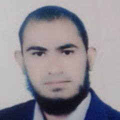 محمد الهلباوي, IT Administrator & Data Analyst