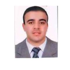 Mohamed Nabil Mohamed Ibrahim, Academic Lecturer, Faculty of Science