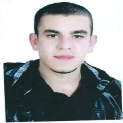 gamal ismail, Projects Engineer