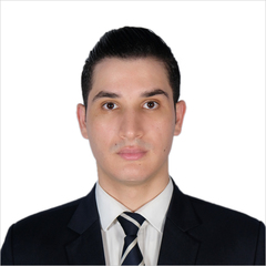 Aymen SaaĐi, Sales Executive