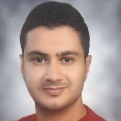 Marwan Elshenawy, Planning Engineer