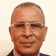 Mahmoud  Masadeh , Mechanical Consultant Engineer