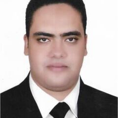 Hussein Mustafa, محاسب مالي و إداري