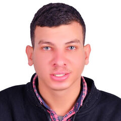 Ahmed ali, Accountant