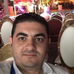Amr Nabil Fetouh Hassan, Lead Procurement Engineer