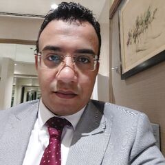 Mahmoud Mohsen Marmoush, Internal Audit Supervisor