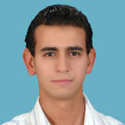 حمادة حسام الدين, computer specialist
