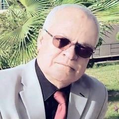 Basiouny  El-Gamal