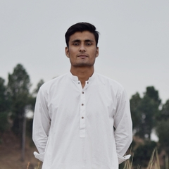 Daniyal  Ansari 