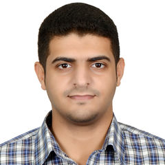 Sanad Mustafa Mashhary, IT ERP & Business Consultant