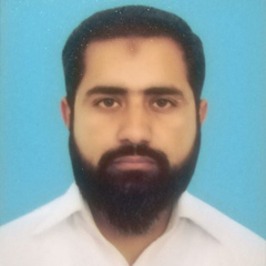 Muhammad Hamid Ali, Deputy Director (Engineering)