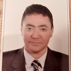 Osama  Gamgoom , Chief Accountant