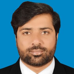 Muhammad Shoaib SAP ERP-Services