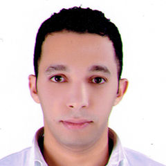 حسين ابراهيم محمد ابو السعود محمد, logistic assistant manager 