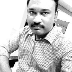 krishnaprakash kumar, project manager business analyst