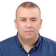 محمد علوى السعيد ابو الورد, Technical Consultant