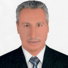 سليمان محمد احمد حامد