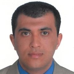 وائل غنيم, Senior Accountant & Financial Analyst