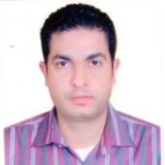 محمد سليمان, Governmental institutes account Manager