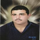 Mahmoud Hassan Ahmed Hussien Elbasel, مهندس تنفيذ
