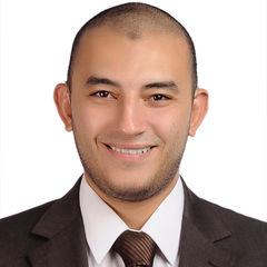 محمد فؤاد عبد الحميد عيسى, senior Inventory Control