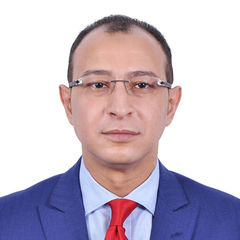 إسلام فتحي, Chief Internal Auditor