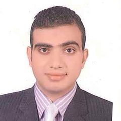  عمر نادر عامر, Chief Accountant