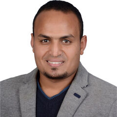 Mohamed Adel, Civil engineer