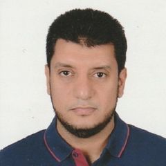 Islam ElAmrawy, System Construction Manager