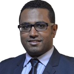 Mahmoud Aly Hassan Khalil, Oracle Financial Consultant