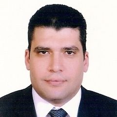 Walid El-Feky, Program Management Workgroup Lead – Turkey, East Europe, Africa, and Middle East