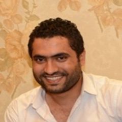 Mohamed Farag Mohamed