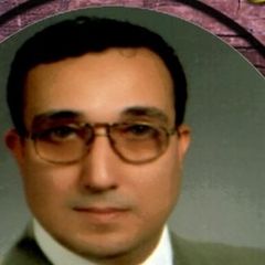 Nyazi nabih mohamed mohamed Abd el salam, مدير مراقبة حسابات المخازن والكفائة النتاجية