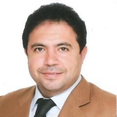 محمد سلامة  زايد, مستشار قانوني