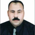 Hassan Rezk, مدير مبيعات