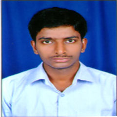 MADHU BABU D, Software Developer