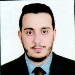أحمد إبراهيم سعد, Software Developer