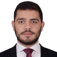 mohamad hammoud, Sales Section Manager