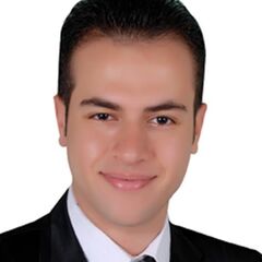 Mohamed Abou Younes, Lawyer Legal Consultant