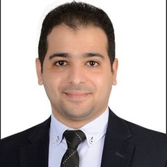 Ahmed Shawky, Accountant