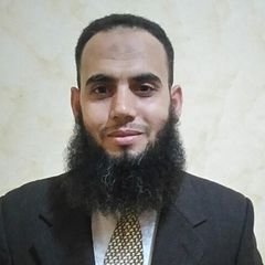 Ramadan Mohamed Ramadan Abed elmaksoud, HSE engineer