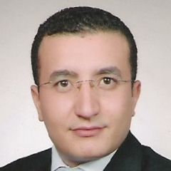 Mohamed Sayed Mostafa Mohamed